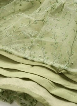 Green Embroidered Net Corset Style Dress Party Wear 17 Green Embroidered Net Corset Style Dress Party Wear -Sari Grace Shop Green Embroidered Net Corset Style Dress DRBS02301105 rrc4