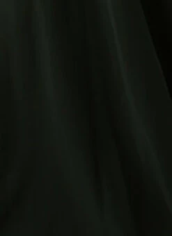 Green Georgette Embroidered Dress Festive Wear -Sari Grace Shop Green Georgette Embroidered Dress DRBS02212609 rrc4