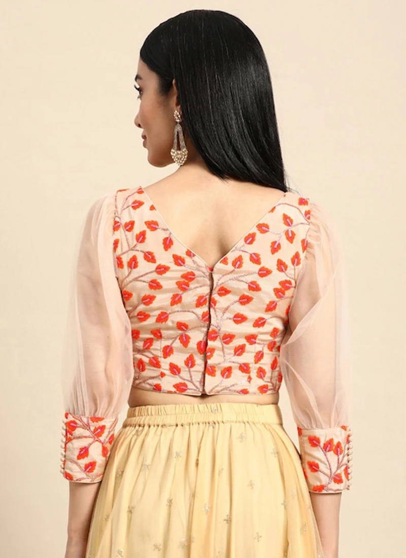 Light Peach Embroidered Chiffon Blouse Party Wear 6 Light Peach Embroidered Chiffon Blouse Party Wear - Image 4