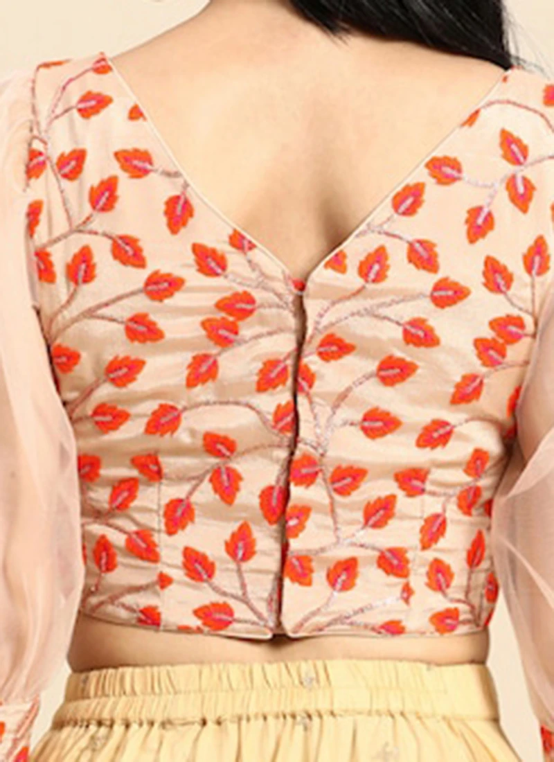 Light Peach Embroidered Chiffon Blouse Party Wear 8 Light Peach Embroidered Chiffon Blouse Party Wear - Image 6