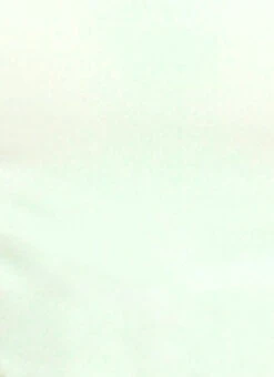 Mint Green Georgette Blouse Festive Wear 17 Mint Green Georgette Blouse Festive Wear -Sari Grace Shop Mint Green Georgette Blouse BLBS02305179 rrc4