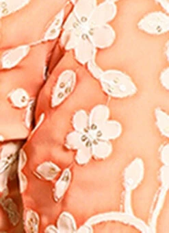 Peach Embroidered Georgette Blouse Festive Wear 17 Peach Embroidered Georgette Blouse Festive Wear -Sari Grace Shop Peach Embroidered Georgette Blouse BLBS02305185 rrc4