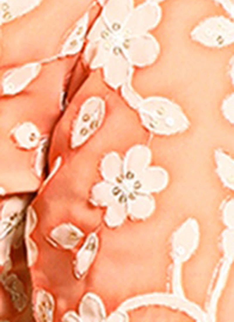 Peach Embroidered Georgette Blouse Festive Wear 10 Peach Embroidered Georgette Blouse Festive Wear - Image 8