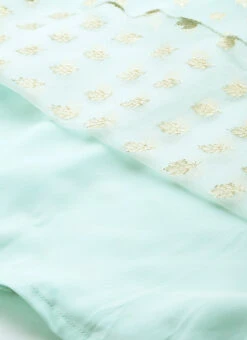 Sky Blue Organza Jacquard Dress Festive Wear 17 Sky Blue Organza Jacquard Dress Festive Wear -Sari Grace Shop Sky Blue Organza Jacquard Dress DRBS02303569 rrc4