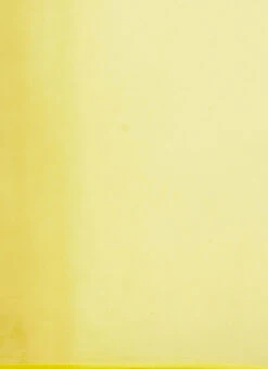 Yellow Embroidered Georgette Saree N Blouse Set Festive Wear Wedding Wear 12 Yellow Embroidered Georgette Saree N Blouse Set Festive Wear Wedding Wear -Sari Grace Shop Yellow Embroidered Georgette Saree N Blouse Set SABS02110021 rrc1