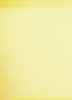 Yellow Embroidered Georgette Saree N Blouse Set Festive Wear Wedding Wear 13 Yellow Embroidered Georgette Saree N Blouse Set Festive Wear Wedding Wear -Sari Grace Shop Yellow Embroidered Georgette Saree N Blouse Set SABS02110021 rrc2