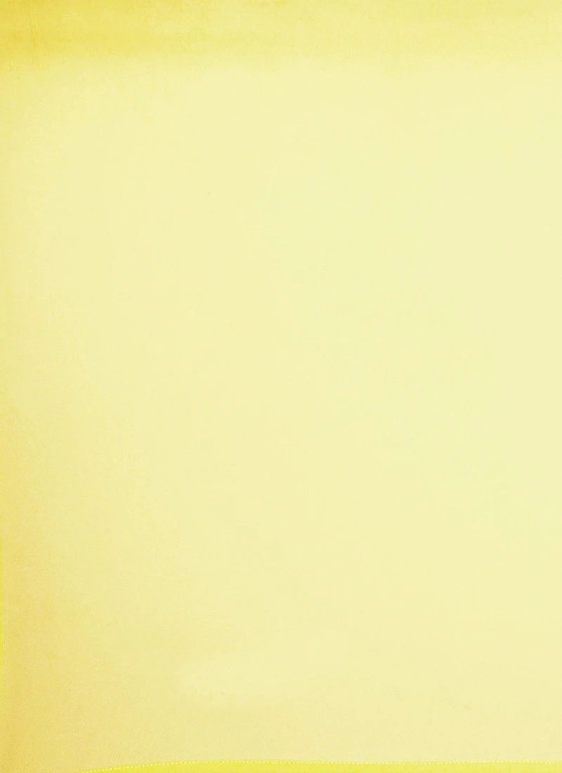 Yellow Embroidered Georgette Saree N Blouse Set Festive Wear Wedding Wear 8 Yellow Embroidered Georgette Saree N Blouse Set Festive Wear Wedding Wear - Image 6