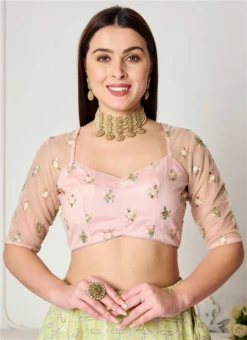 Peach Embroidered Net Blouse Festive Wear -Sari Grace Shop peach embroidered net blouse BLBS02307625 b
